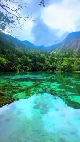 #Feel the breath and beauty of nature. #nature #naturephotography #naturelovers #naturalbeauty  