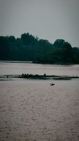 نتجاهل ليبقى الود مستمراً 🤍#canada_life🇨🇦 