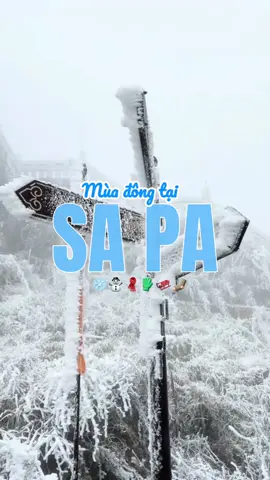 Mùa đông tại Sa Pa ☃️❄️🧣🧤🛷🎅⛷️ #traveling #goldlotustravel #sapatravel #xuhuong #tourism 