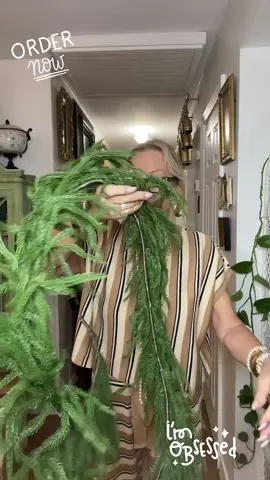 #artificialgarland #christmaspinegarland #garland #christmasdecor #tiktokdealsforyoudays 