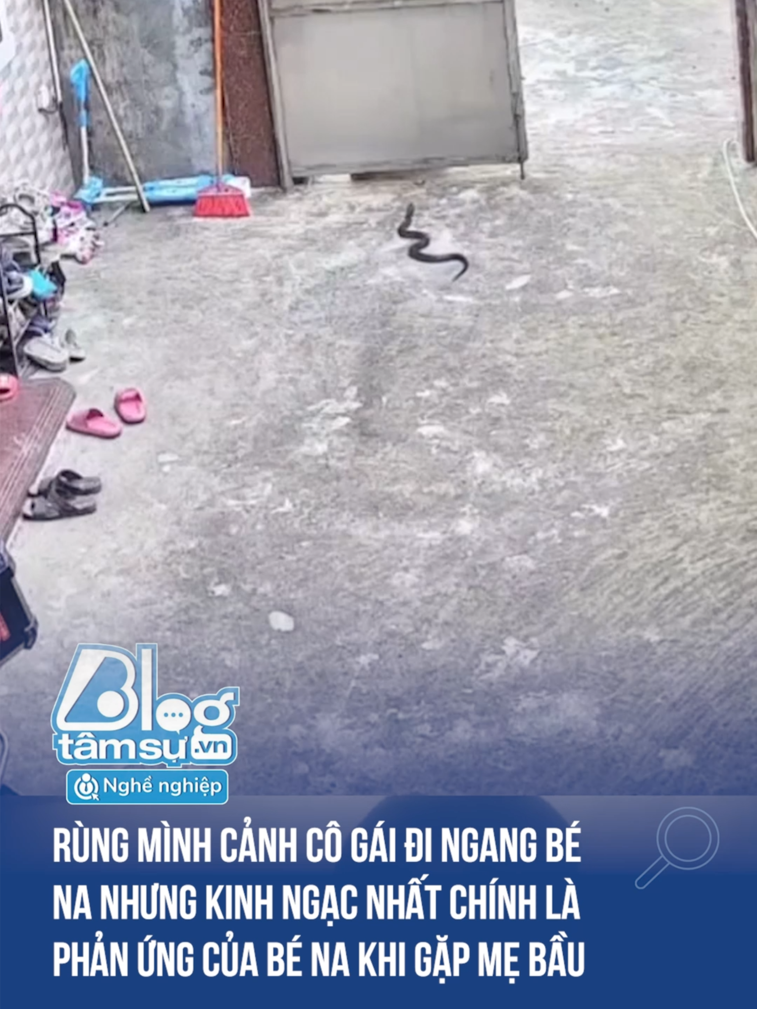 Chuyện tâm linh không đùa được đâu #discovery #blogtamsu #xuhuong #btsmedia #tiktoknews #funfact #viral #troll #haihuoc #ran #mebau