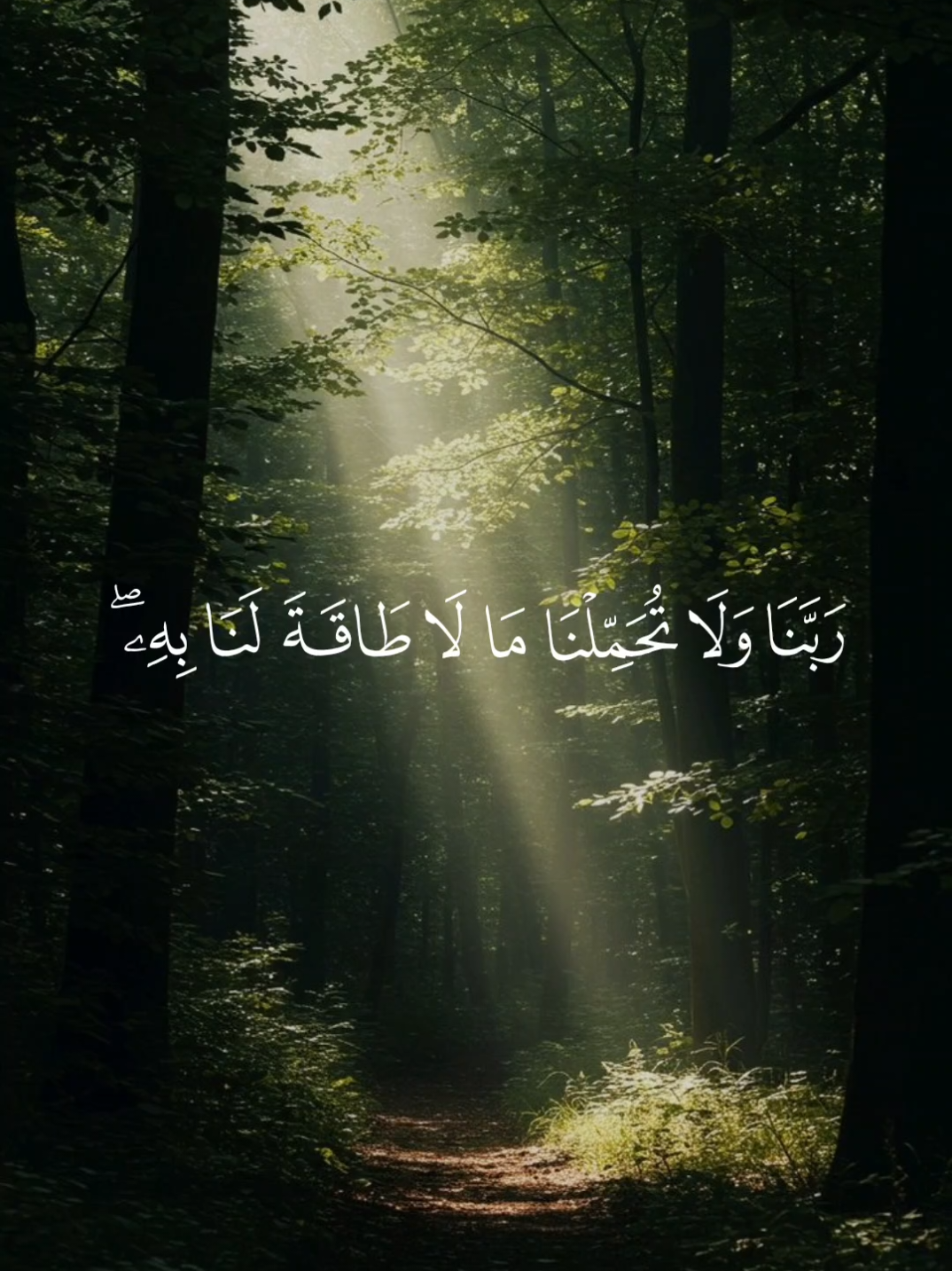 #فارس_عباد #قران_كريم 