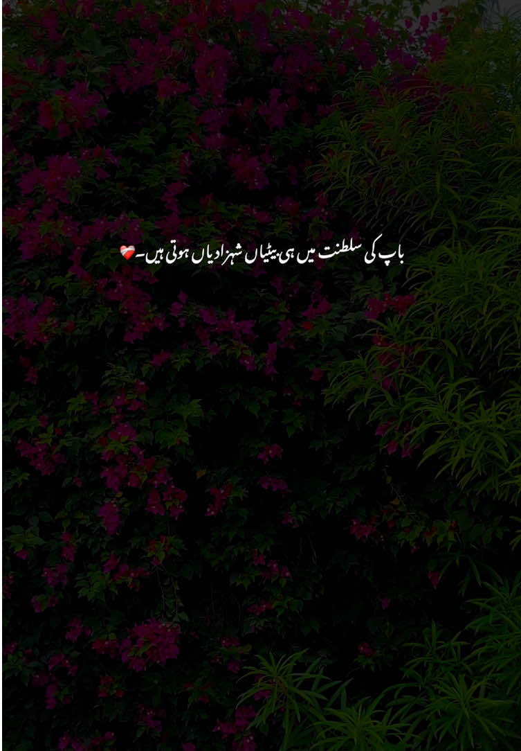 Beshak🫶😭#grow #poetry #fyp #viralvideos #aestheticvideos 