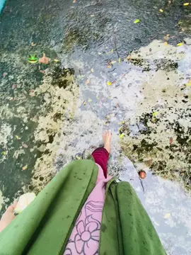 Tumra rastay ak bosta tk paw doya kori 🐸🫶🏼 #foryou #viral #viralvideo #tiktok #official 