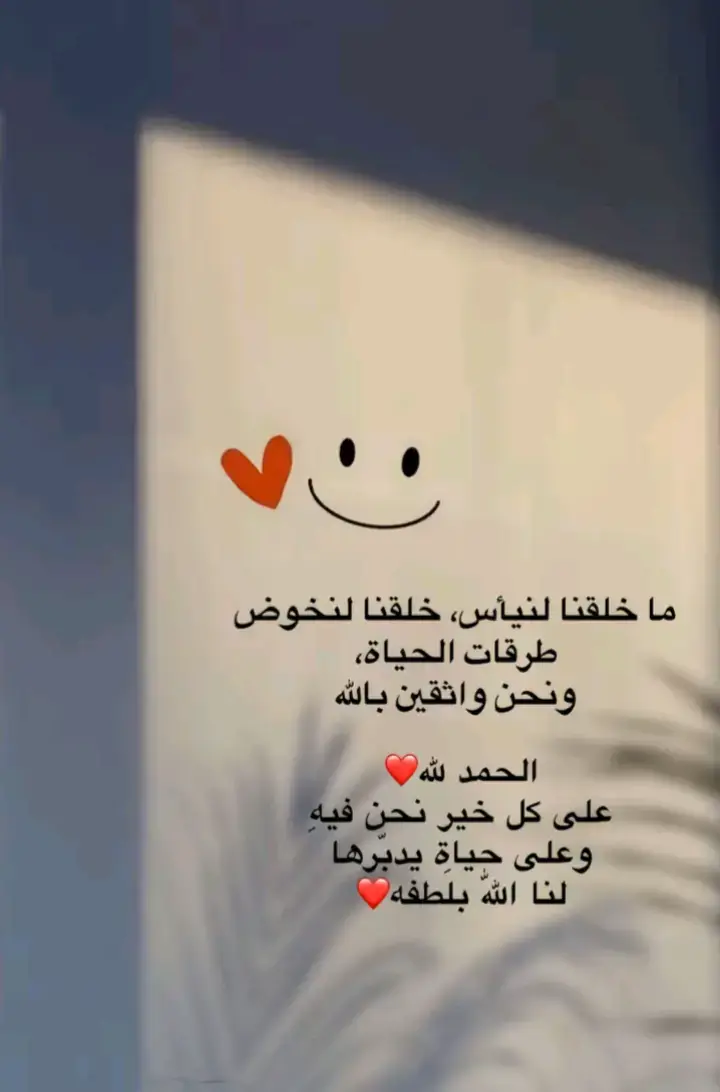 🌹🌹