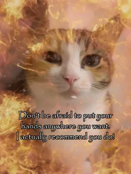 dont be afraid 😋 #meme #relatable #cattok #couple #joke 