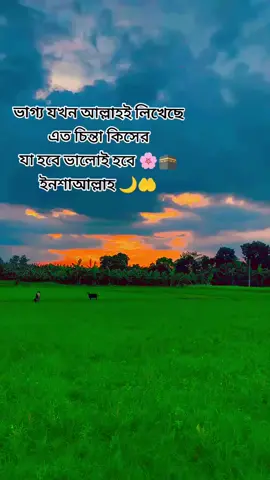 #ভাগ্য যখন আল্লাহই লিখেছে এত চিন্তা কিসের যা হবে ভালোই হবে 🌸🕋 ইনশাআল্লাহ 🌙🤲#🤲🤲🕋🕋🤲🤲 