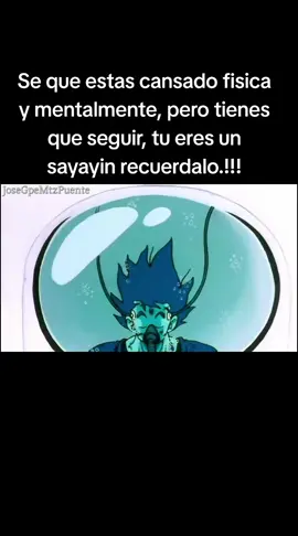 #goku #dbz #dragonball #dragonballz #sayayin 