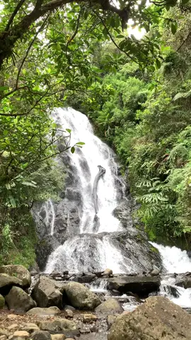 alam adalah obat terbaik🌱 Air terjun indah yang berada di hutan belantara  di bawah gunung Cikuray Garut #waterfall #curugciarileu #fyp #alam 