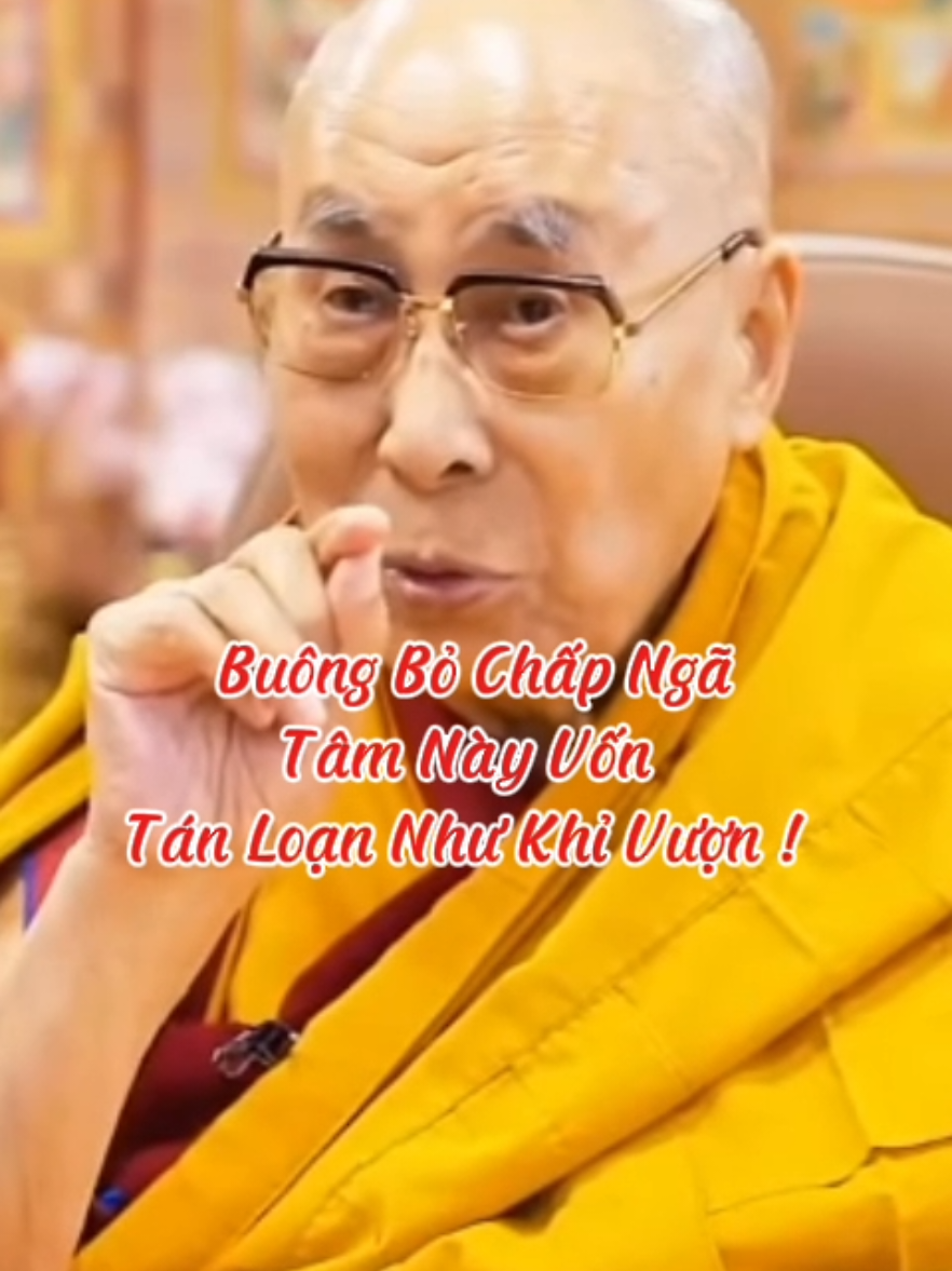 Buông bỏ chấp ngã tâm này vốn tán loạn như khỉ vượn #loiPhatday #DatLaiLatMa #thongdiepcuocsong #nhungcaunoihay #xuhuongtiktok 