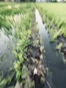 每个故事都给我们一个教训，每个教训都改变一个人..!