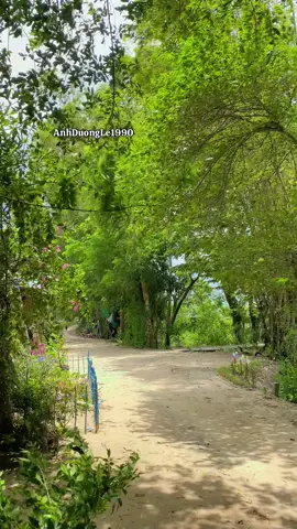 Nhà tôi đơn côi mời a ở lại 🥰🥰🥰#xuhuong #vairal #canhdep #canhchill #canhchillvungque🌾 