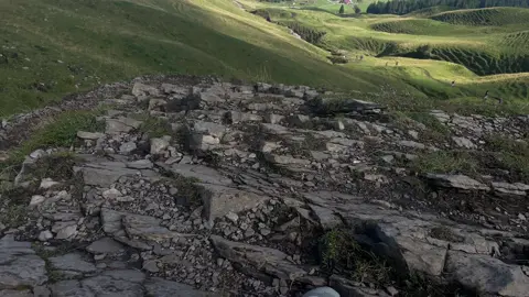 vibe? #nature #vibe #fyp 