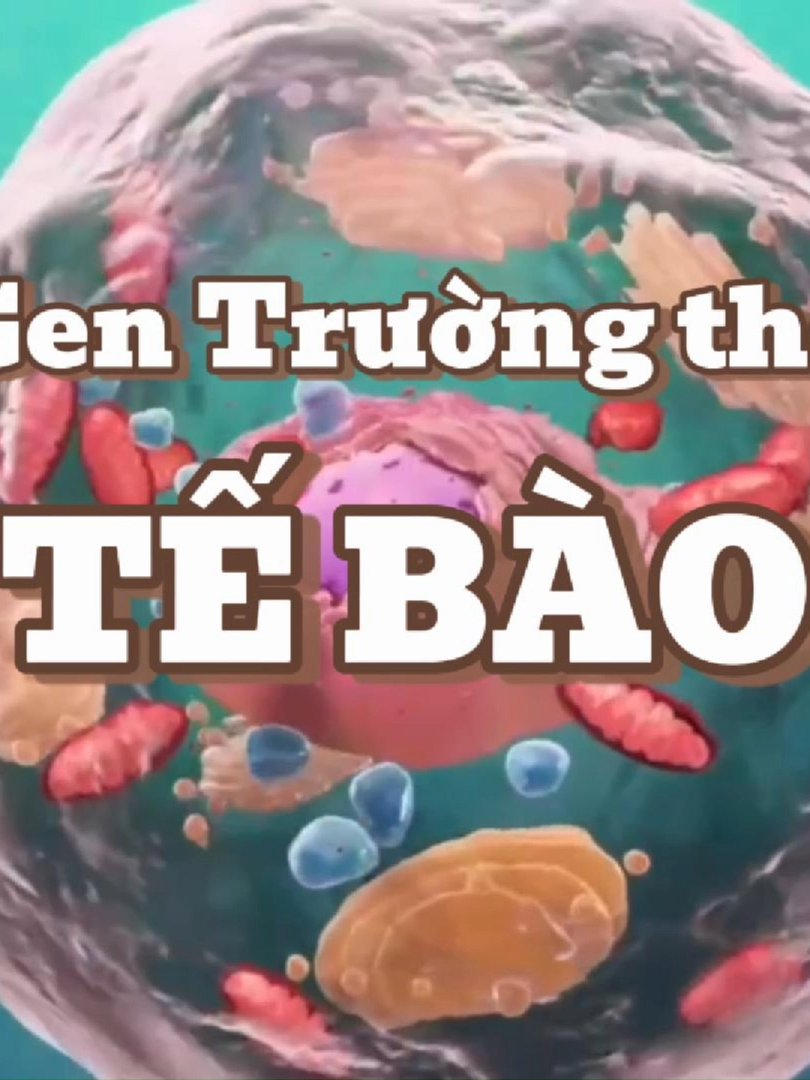 Vai trò của NAD⁺ và các “gen trường thọ” trong sức khỏe con người. #chamsocsuckhoechudong #chualanh #GEN #gnakg #gncell