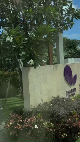 Ký sự ở Dhawa Hồ Tràm #CapCut #hotram🏝 #chillwithtiktok 