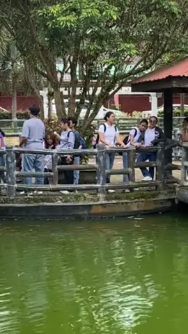 ib: @strawberry cheesecake 