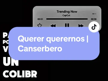 Plantilla | Querer querernos | letra.     #quererquerernos #canserbero #letra #tiktok 