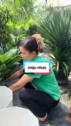 #tinhcoc89 #suachuanhacua #dolamvuon #chaunhuatrongcay #chaunhua 