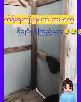 #ရီချင်ရင်ဝင်ကြည့်သွား #🤣🤣🤣🤣🤣🤣🤣🤣🤣🤣🤣🤣🤣🤣🤣🤣 