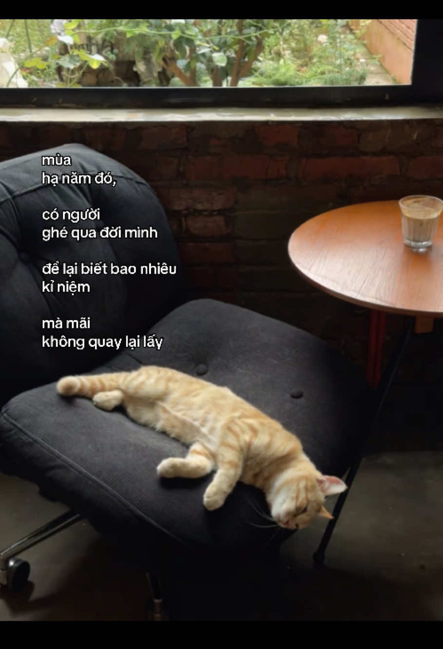 #phantrongduong33 #trongduong #typ 