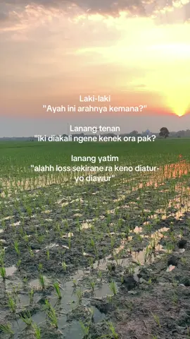 Panggah ilmu ngaworrr  #petanimuda #petanimilenial #petaniindonesia🇮🇩🇮🇩🇮🇩🌿🌿 #dronepertanian #storypetani 