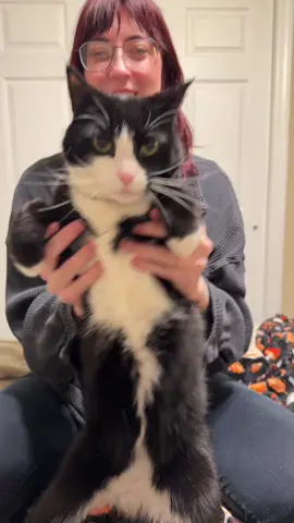 cha cha now yall 🗣️ #catsoftiktok #catdance #cattok #chachaslide 