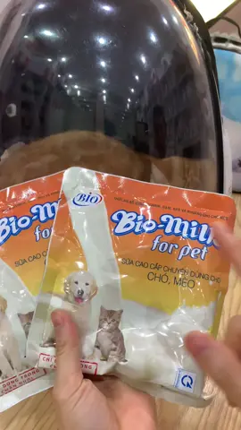 Sữa bột bio milk cho chó mèo #meocon #cuncondangyeu #pets #xuhuong #viral 