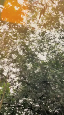 jam terbang sudah tayang, wayaeh mendarat dengan selamat😘😘😘 2025 ama exed engineering makin slebewwww🤙🤪🫳 #2025pakeexed  #sprayer  #sprayerthailand  #petaniindonesia🇮🇩🇮🇩🇮🇩🌿🌿  #petanimuda 