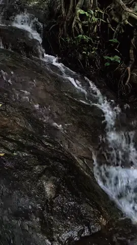 #ธรรมชาติสวยงามเสมอ #น้ำตกชลบุรี #ป่าหน้าฝน #ไปเรื่อยไปเปื่อย #เพราะท้องฟ้าไม่เคยเหมือนเดิมเลยสักวัน🌈☁️☀️ 