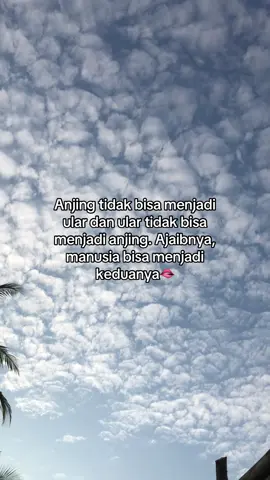 👏👏#bismillahfyp #trending #viral #xyzbca #storytime #desi 