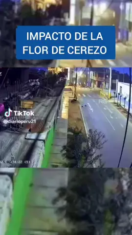 Impacto de la flor de cerezo 🗣️#free_fire #humor #freefire_lover