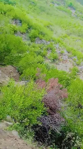 #creatorsearchinsights 