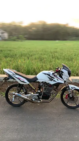 🤏 #tigerberkahmebel #fyp #tigergank 