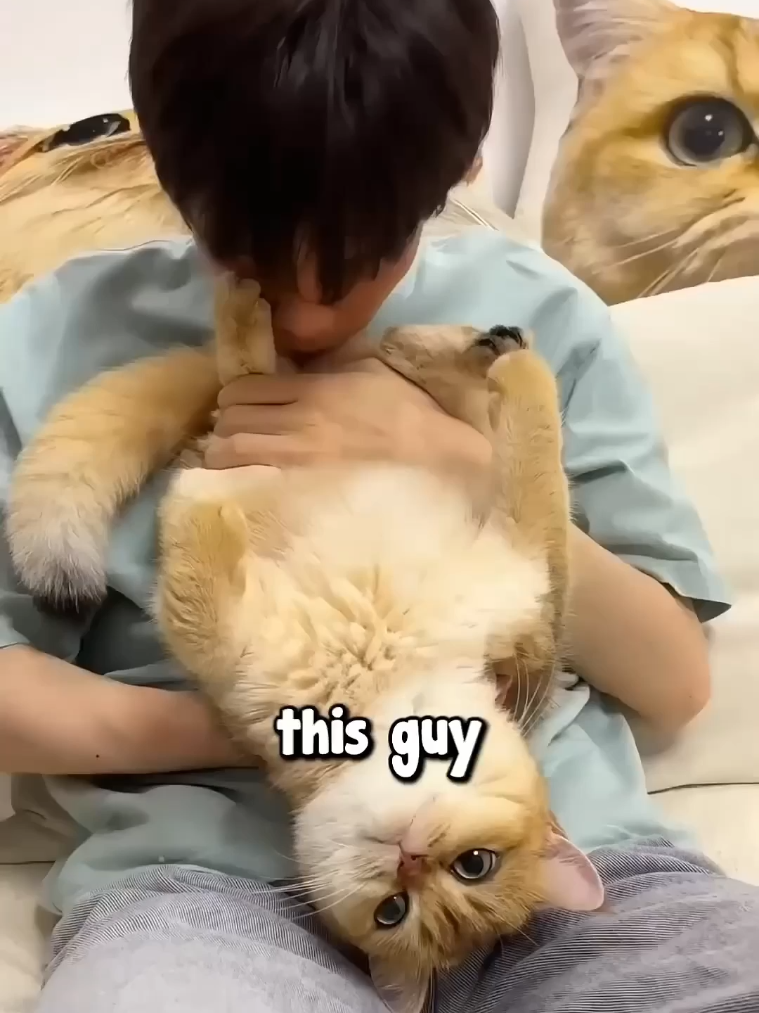 The most clingy cat ! 😂 #animalsoftiktok #cat #funnycat #animals #storytelling #cuteanimals #petlover #kitten