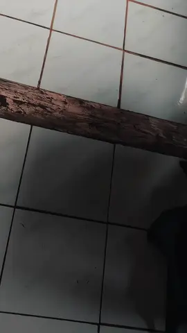 💃💃 #vario125 #varioledold #fypage #fyp #xbcyza 