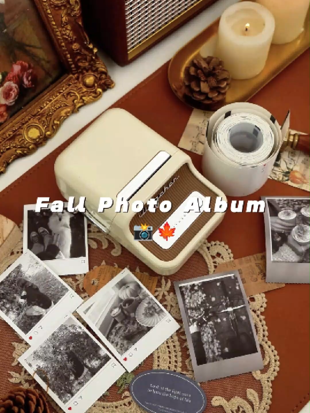 🍂 Autumn Photo Collection 🍂 Capture your cozy fall moments with the B21 Pro + Photo Paper 📸✨ Print your autumn memories, decorate journals, or create a seasonal album 🍁📖 #niimbot #niimbotb21pro #B21Pro #StickerPrinter #PhotoPrinter #AutumnVibes #FallAesthetic #PhotoCollection #DIYAlbum