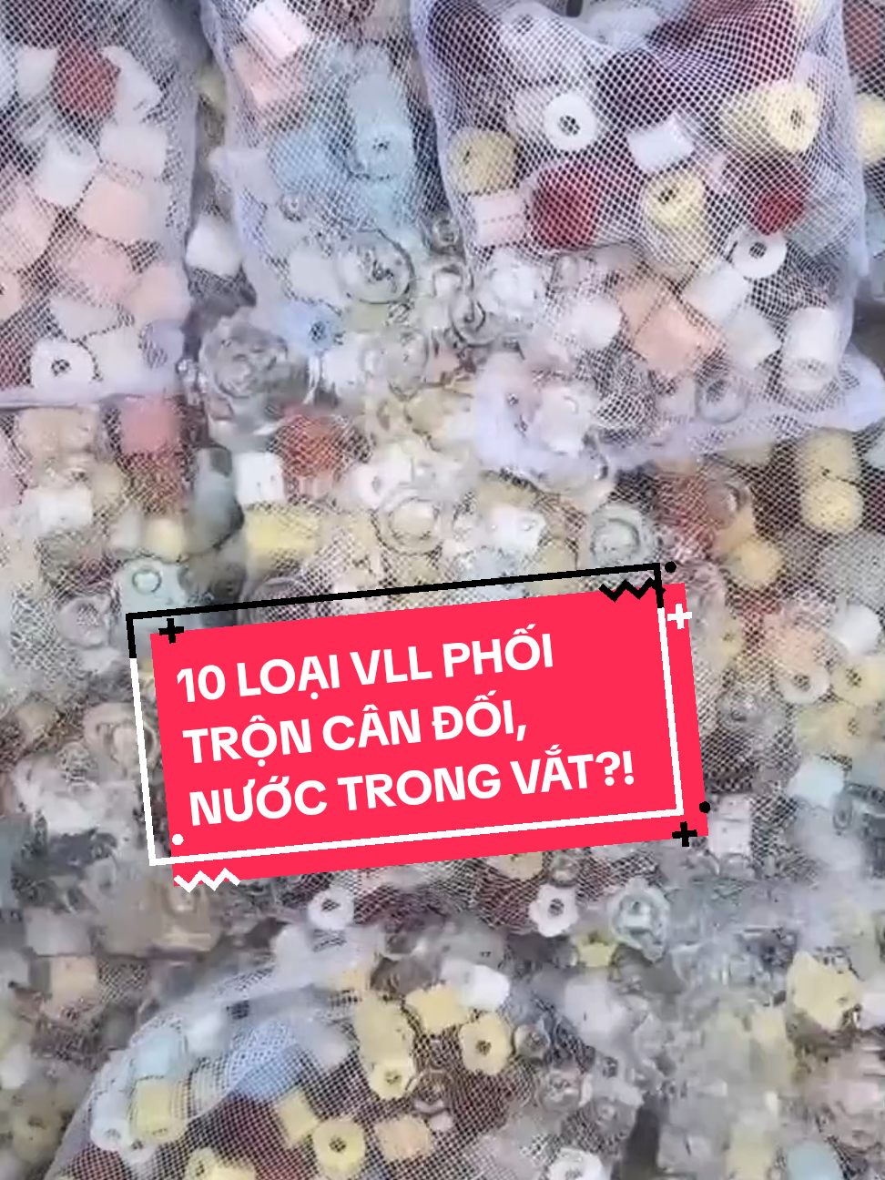 Combo 10 loại vật liệu lọc, phối trộn cân đối, lọc nước trong, cá khỏe sung.  #aquasetup #vậtliệulọc  #lọchồcá #hồcá #aquarium 