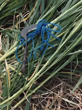 #CapCut #fylppppppppppppp #masukberandafyp 