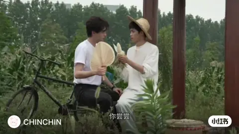 BTS ruộng ngô: Nụ hôn cũng choáy không kém gì phòng làm việc  #fyp #RevengedLove #ZiYu #tianxuning #田栩宁 