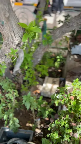 اللهم إني أسألك الأمان يوم لا ينفع مال ولا بنون،❤️‍🩹🤍