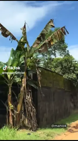 #12rabi_ul_awal  #richman  #eidmiladunnabi waaaaaaaaa@MANIOK