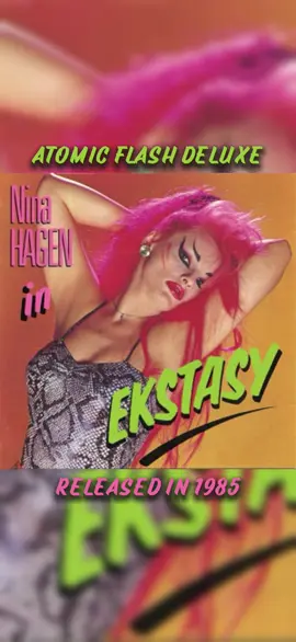 #ninahagen #atomicflashdeluxe #1985 #music #fyp 