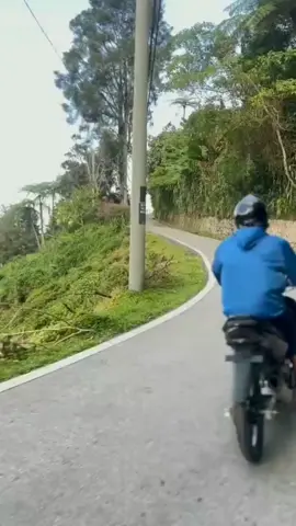 #lc135 #fypppppppppppp #lc135 cameron lalu