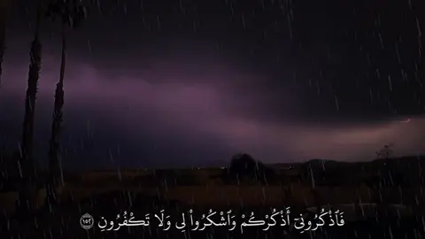 ( فَاذْكُرُونِي أَذْكُرْكُمْ وَاشْكُرُوا لِي وَلَا تَكْفُرُونِ)                                              القائ: الشيخ محمد اللحيدان                         #محمد-الحيدان#خشوع_طمأنينه #قرآن #صدقة_جارية #اجر_لي_ولكم_ #قران_كريم #قرآن #اكتب_شي_توجر_عليه #استمع_والاجر_لي_ولك_انشاءالله #راحه_نفسيه #خشوع #طمأنينه #القارئ-محمد-اللحيدان#قوالب_كاب_كات #capcut #quran 