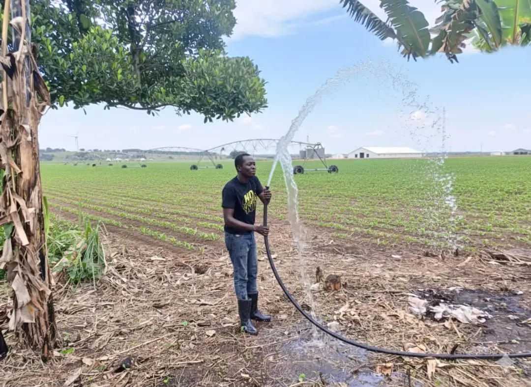 Entrepreneurs succeed by avoiding oversleeping—time saved fuels innovation, hard work, and opportunities to earn, build, and grow wealth.