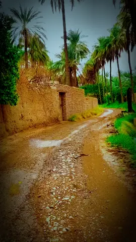 #مووايل مكرم المنياوي #السيره الهلاليه #تصميم_فيديوهات🎶🎤🎬 #المغرب🇲🇦تونس🇹🇳الجزائر🇩🇿 #جميل الاسيوطي 