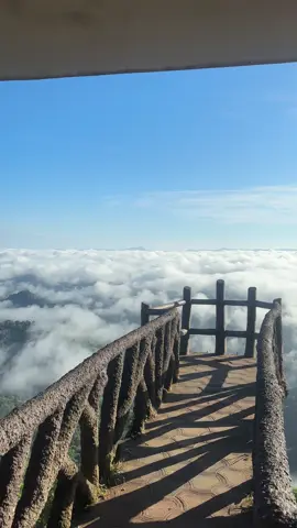 Lost in the clouds at Bandarban 🥹🌿