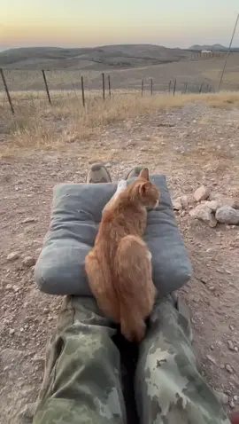 Keyifler yerinde Günaydın 🥰💕  - - - - - - #uzmancavuş #keşfetteyizzz #tiktokindia #fyppppppppppppppppppppppp #keşfetedüş 