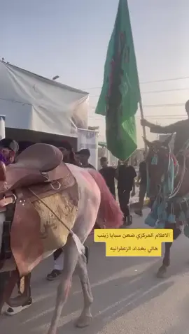 #ضعن #سبايا #زينب #هالي #بغداد الزعفرانية للحساب الرسمي 