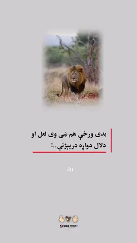 #viral #foryou #foryoupage #tiktokviral #اوری🦁☝🏿 